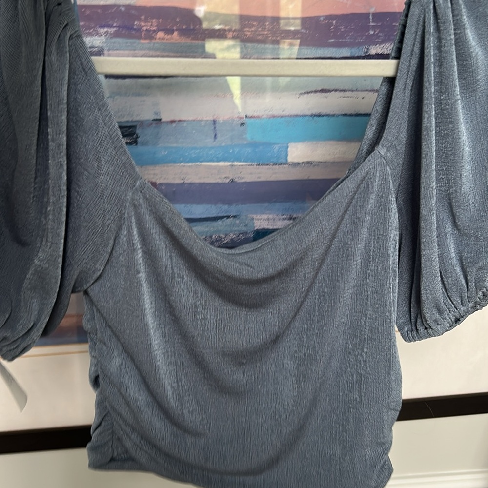Sophie Rue Slate Blue Ruched Blouse - Picture 7 of 7